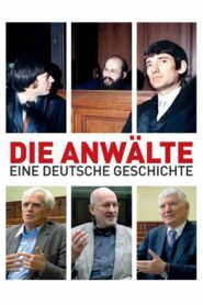 The Lawyers 2009 one on netflix