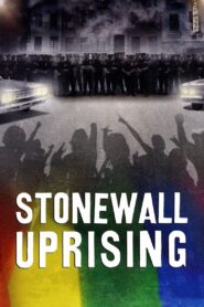 Stonewall Uprising 2010 one on netflix
