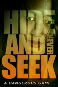 Hide-and-Never Seek 2016 one on netflix