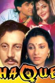 Haque 1991 one on netflix