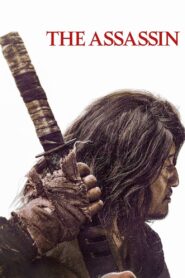 The Assassin 2023 one on netflix