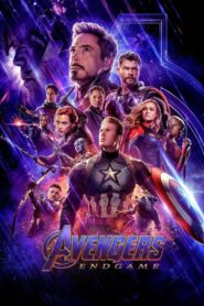 Avengers: Endgame 2019 one on netflix