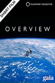 Overview 2012 one on netflix