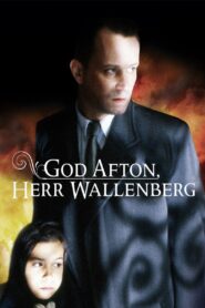 Good Evening, Mr. Wallenberg 1990 one on netflix