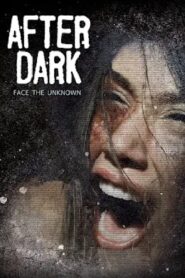 After Dark 2013 one on netflix