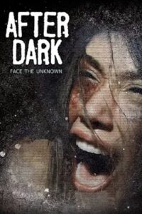 After Dark 2013 one on netflix