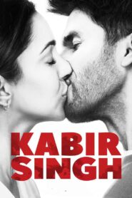 Kabir Singh 2019 one on netflix