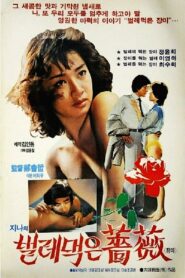 Jin-ah’s Rose Eaten By Bugs 1982 one on netflix