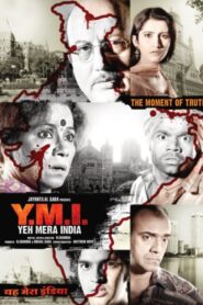 Yeh Mera India 2009 one on netflix