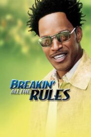 Breakin’ All the Rules 2004 one on netflix