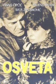 Revenge 1986 one on netflix