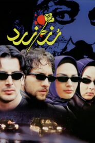 The Yellow Rose 2003 one on netflix