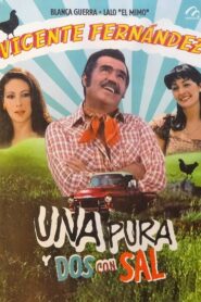 Una pura y dos con sal 1983 one on netflix