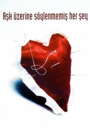 Aşk Üzerine Söylenmemiş Her Şey 1995 one on netflix