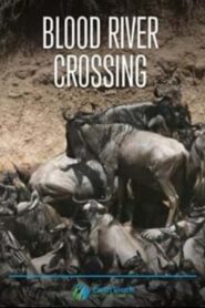 Blood River Crossing 2013 one on netflix