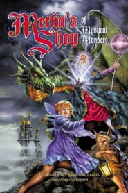 Merlin’s Shop of Mystical Wonders 1996 one on netflix