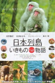 Japan’s Wildlife: The Untold Story 2012 one on netflix