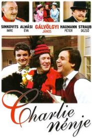 Charley nénje 1986 one on netflix