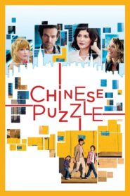 Chinese Puzzle 2013 one on netflix