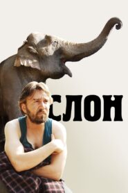 Elephant 2010 one on netflix