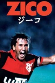 Zico 2002 one on netflix