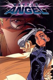Battle Angel 1993 one on netflix