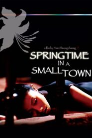 Springtime in a Small Town 2002 one on netflix