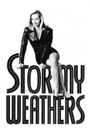 Stormy Weathers 1992 one on netflix