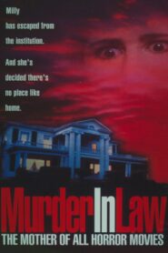 Murder in Law 1989 one on netflix