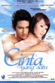 Cinta Yang Satu 2007 one on netflix