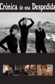 Chronicle of a Farewell 2018 one on netflix