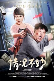 A Busy Night 2016 one on netflix
