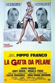La gatta da pelare 1981 one on netflix