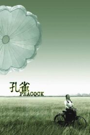 Peacock 2005 one on netflix