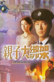 親子大綁架 2003 one on netflix