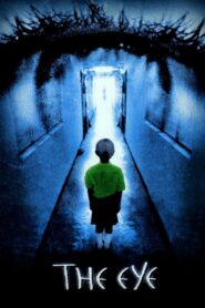 The Eye 2002 one on netflix