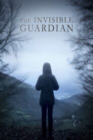 The Invisible Guardian 2017 one on netflix