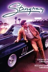 Stingray 1985 one on netflix