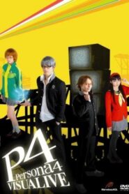 VISUALIVE Persona 4 2012 one on netflix