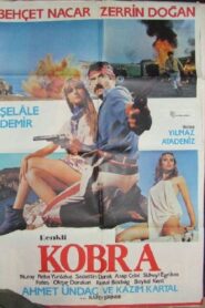 Kobra 1983 one on netflix
