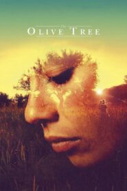 The Olive Tree 2016 one on netflix