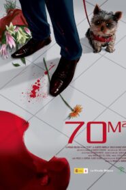 70m2 2010 one on netflix
