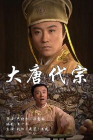 大唐代宗 2004 one on netflix