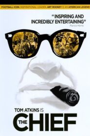 The Chief 2010 one on netflix