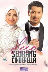 Hero Seorang Cinderella 2017 one on netflix