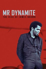 Mr. Dynamite – The Rise of James Brown 2014 one on netflix