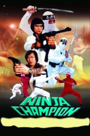 Ninja Champion 1986 one on netflix
