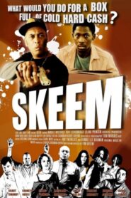 Skeem 2011 one on netflix