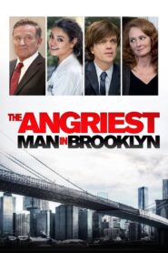 The Angriest Man in Brooklyn 2014 one on netflix