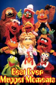 Best Ever Muppet Moments 2006 one on netflix